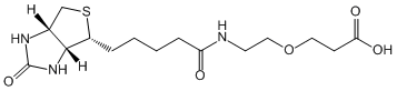 Biotin-PEG1-COOH
