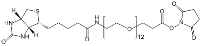 Biotin-PEG12-SPA