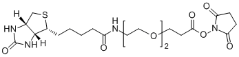 Biotin-PEG2-SPA