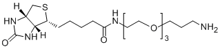 Biotin-PEG3-CH2CH2CH2NH2
