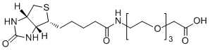 Biotin-PEG3-CH2COOH
