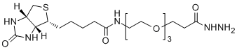 Biotin-PEG3-HZ
