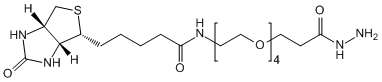 Biotin-PEG4-HZ