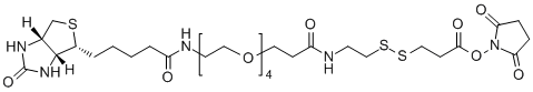 Biotin-PEG4-S-S-NHS