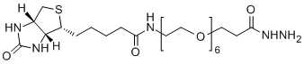 Biotin-PEG6-HZ