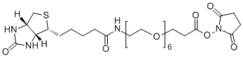 Biotin-PEG6-SPA