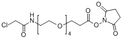 Cl-NH-PEG4-NHS