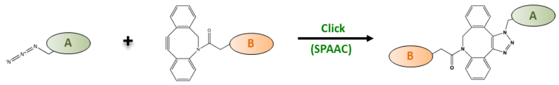 click chemistry spaac