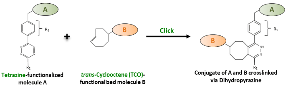 click chemistry tco