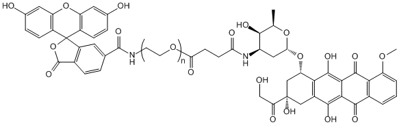 FITC-PEG-Azithromycin