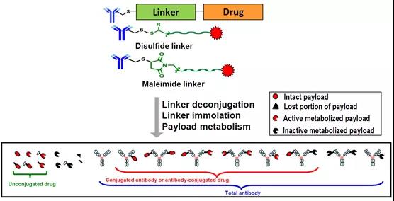 ADC linker 1