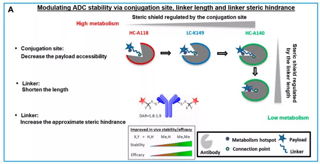ADC linker 2