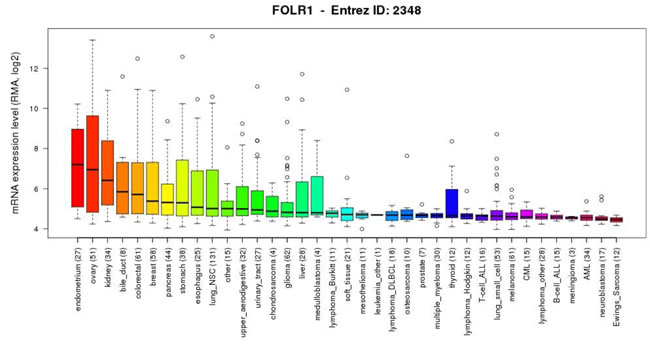 FOLR1 gene expression levels in cancer models