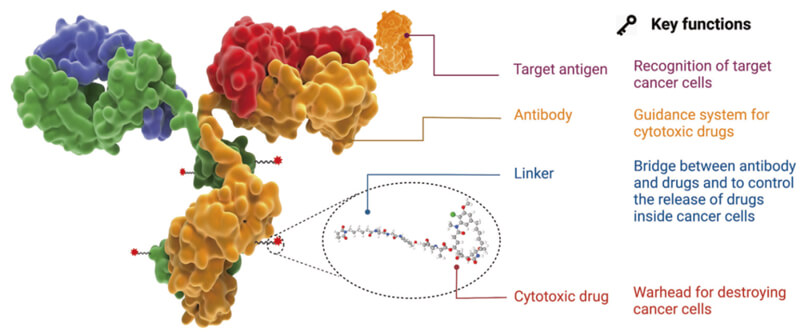 ADC-Structure