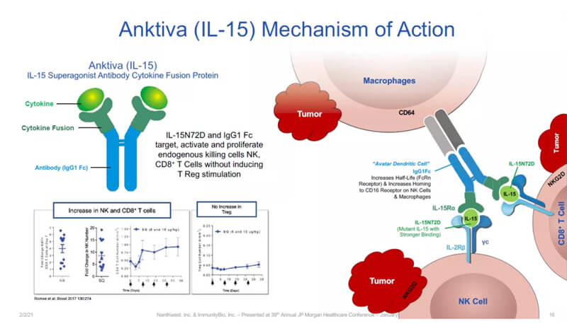 Anktiva