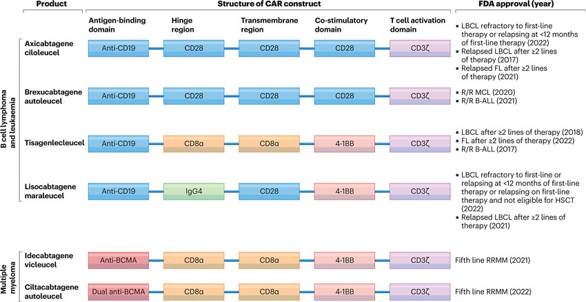 approved-car-t-cell-therapies