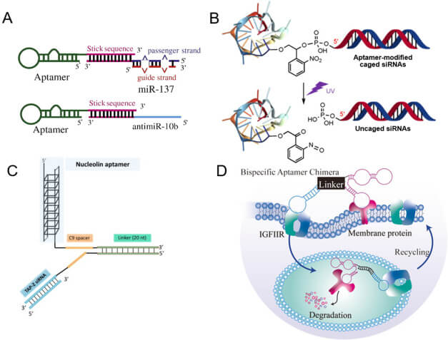 Aptamer-nucleic acid conjugate