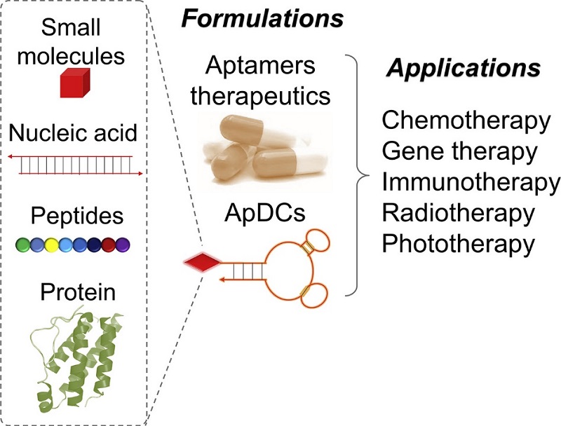 Aptamers