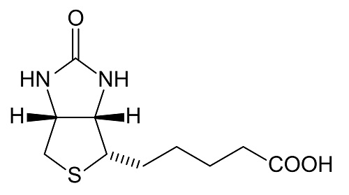 Biotin_structure