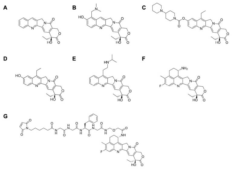 Camptothecin-derivatives