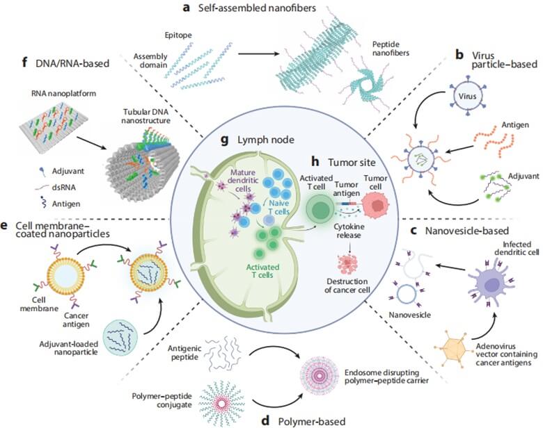cancer-nanovaccines