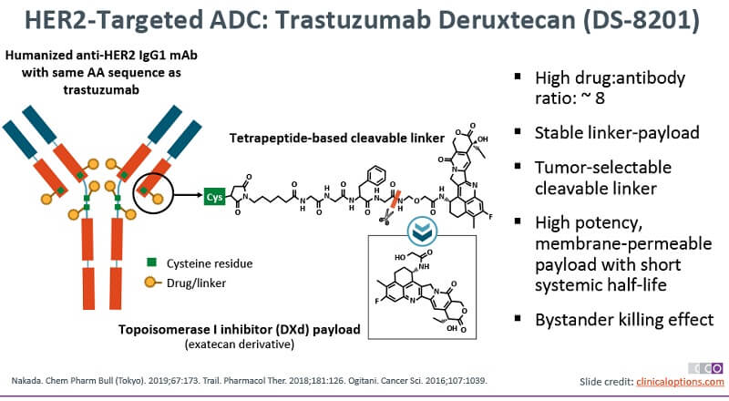 HER2-Targeted ADC: Trastuzumab Deruxtecan 
