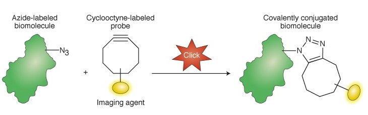click chemistry
