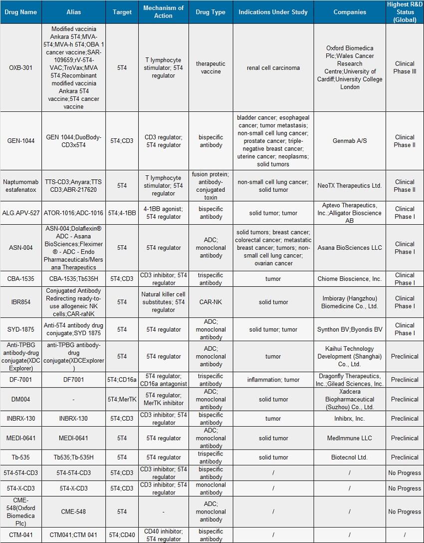 Clinical research progress of TPBG