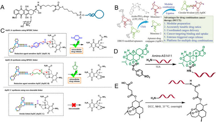 Covalent conjugation