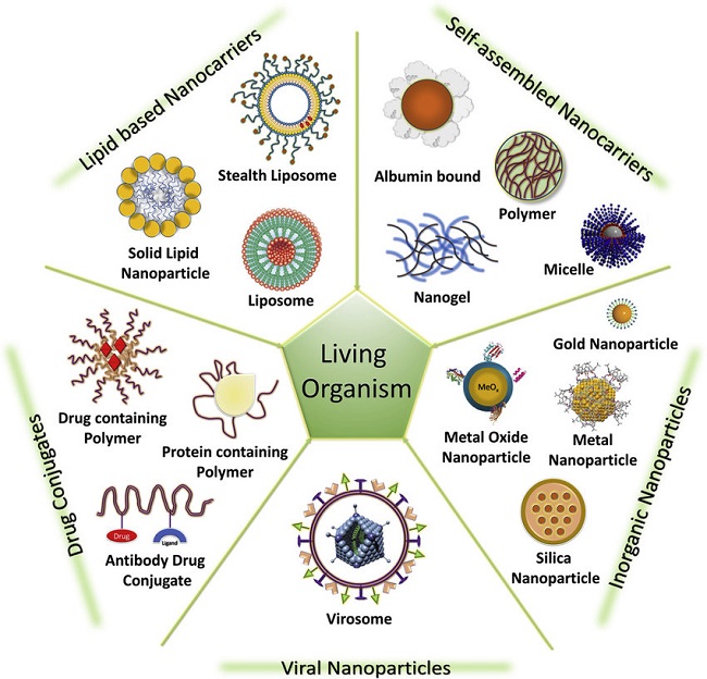Illustration of nano-platforms used for the development of diﬀerent nano-drugs and delivery systems used in clinical cancer care