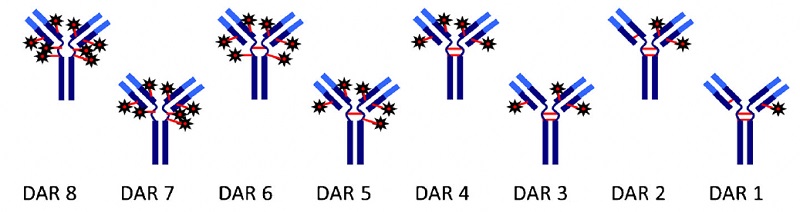 drug-to-antibody ratio