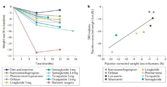 Effects of AOMs on weight loss in humans and rodents