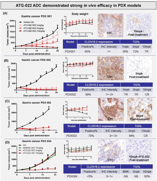 Efficacy of ATG-022 in PDX model