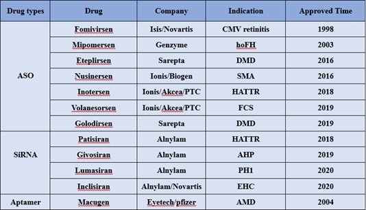Marketed nucleic acid drugs