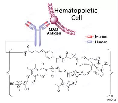 Gemtuzumab Ozogamicin