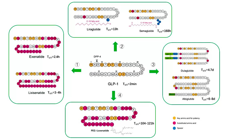 GLP-1-long-acting-strategies
