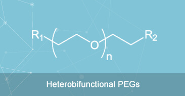 Heterobifunctional PEG