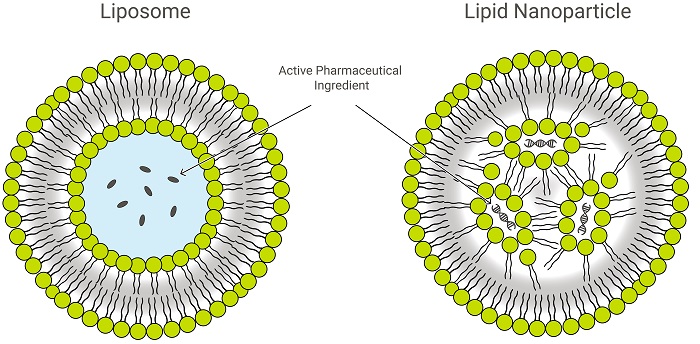 Liposome-and-LNP