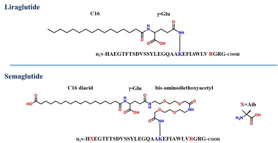 Liraglutide-Semaglutide