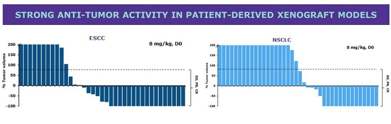 M1231-ANTI-TUMOR-ACTIVITY