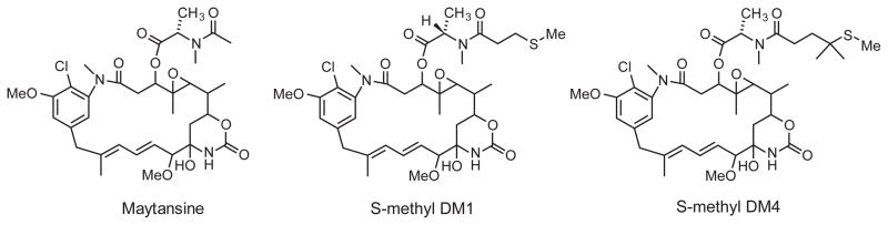 maytansine