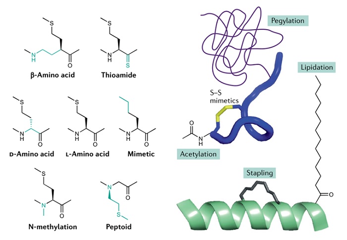 /Medicinal-chemistry-strategies-peptide-drugs