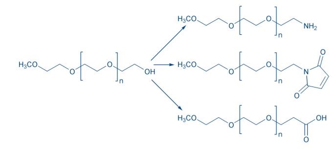 methoxy-PEG 