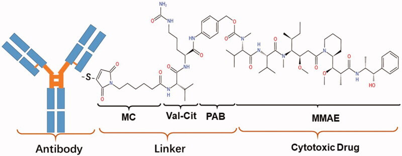 molecular-structure-of-RC48