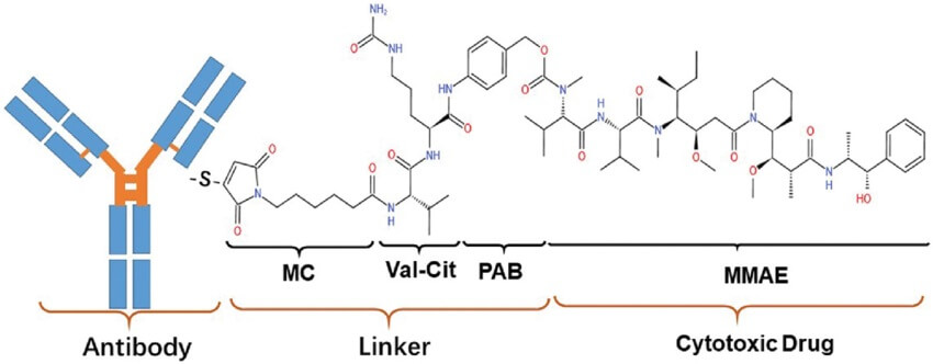 molecular-structure-of-RC48