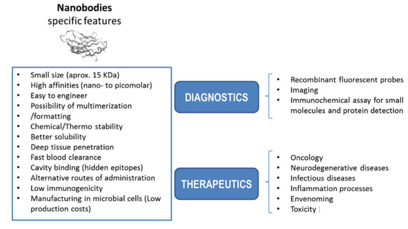 nanobodies-features