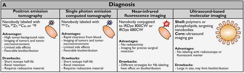 nanobody-Diagnos