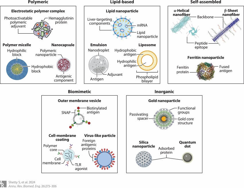 nanovaccines-types