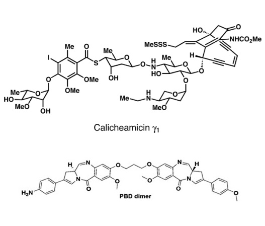 Chemical structure of pyrrolobenzodiazepine (PBD) and Calicheamicin.