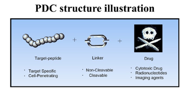 PDC structure illustration